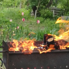 Вадим Манжелий