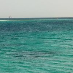 محمد سنجر