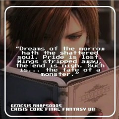 doctor whooves rules