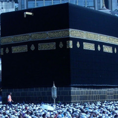 N Yusaf