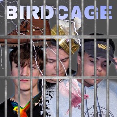 Birdcage