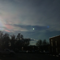 Kimberly Markle-Silva