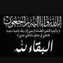 mohamad almasre