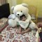 Jazz Dhaliwal