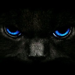 Pantherfinder