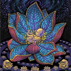 ॐ ARASHAMAN ॐ