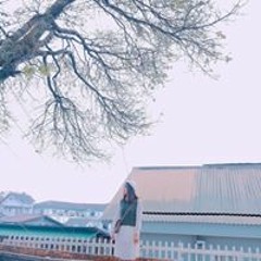 Tuyết My