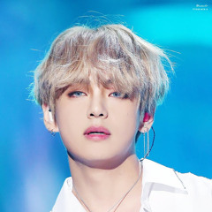 사랑태태