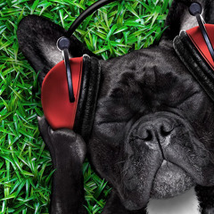 thatboiturner turner