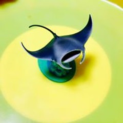 金森文誉