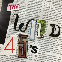 The Wild 45's