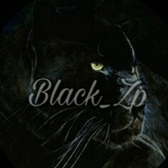 Black_ Zp