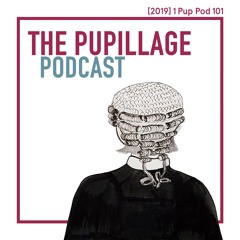 The Pupillage Podcast