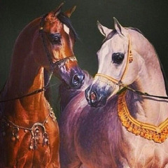 عبير الزهراني