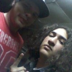 stevo