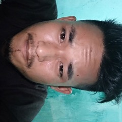 Andi