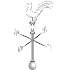 cerebralrech
