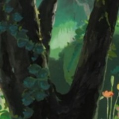rinanii