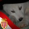 Boby