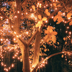 Екатерина Довгань