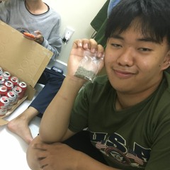 Nguyễn Elcis