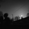 Moody