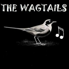 thewagtailsmusic
