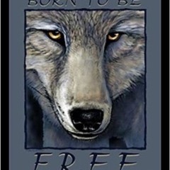Billion Bucks Wolves