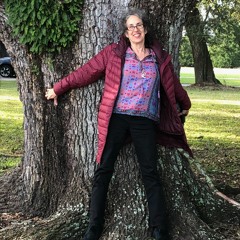 Morning Star Chenven