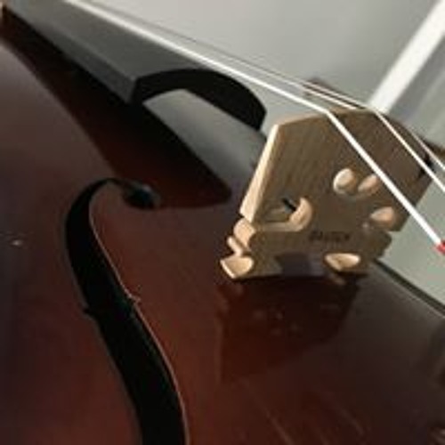 Ludlow Violins’s avatar