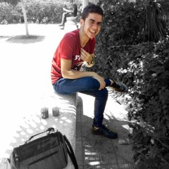Bassem Y. Khater
