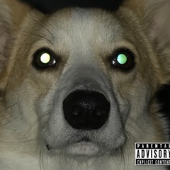 Art-D.              DD___N