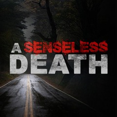 A Senseless Death