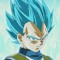 Vegeta sama