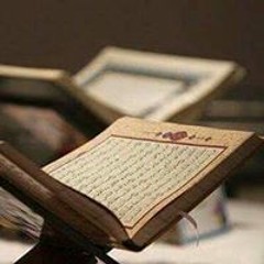 مي تقي الدين