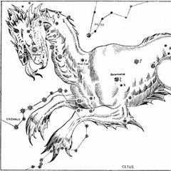 Cetus