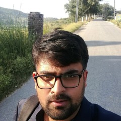 ameer