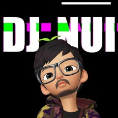 DJ_NUI_MIXER_UP!