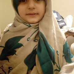 Abu Bakar Bhatti