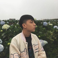 Gem D