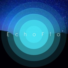 EchoFlo