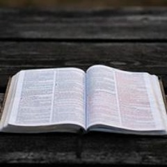 Isaias29:18