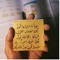Alaa Wady