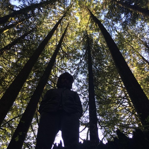 Under Quarantine, Lock & Key