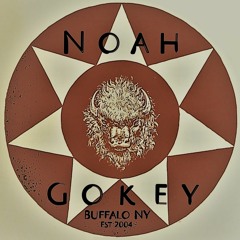 Noah Gokey