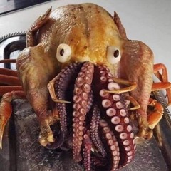 Weird Animal Records