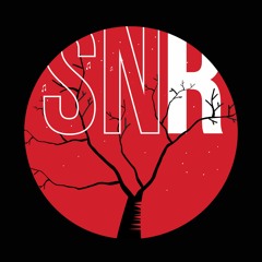 Sleepy Night Records