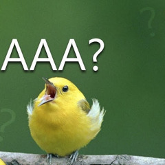 A Birb Named Alex