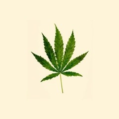 Weed