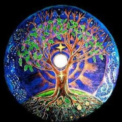 Spiralaizer